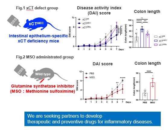 The Treatment and Prevention of Inflammatory Bowel Disease