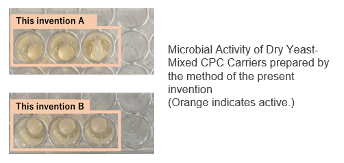 Method for producing microorganism carrier