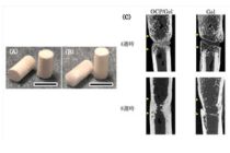 ニプロ株式会社様