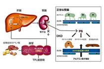 株式会社LSIメディエンス様